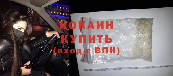 гашик Сясьстрой