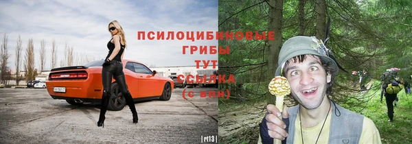 дурь Струнино
